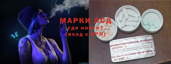 прущие грибы Алзамай